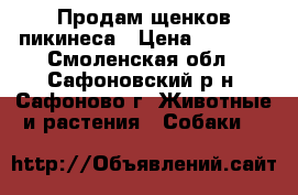 Продам щенков пикинеса › Цена ­ 5 000 - Смоленская обл., Сафоновский р-н, Сафоново г. Животные и растения » Собаки   